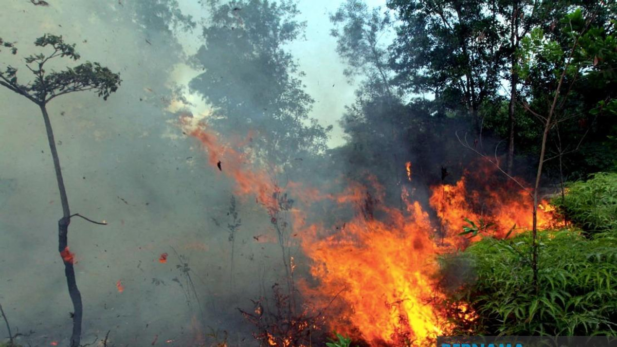 Open Burning Cases Surge to 18,432 As Fire Department Warns of Large-Scale Fire Risk Across Malaysia