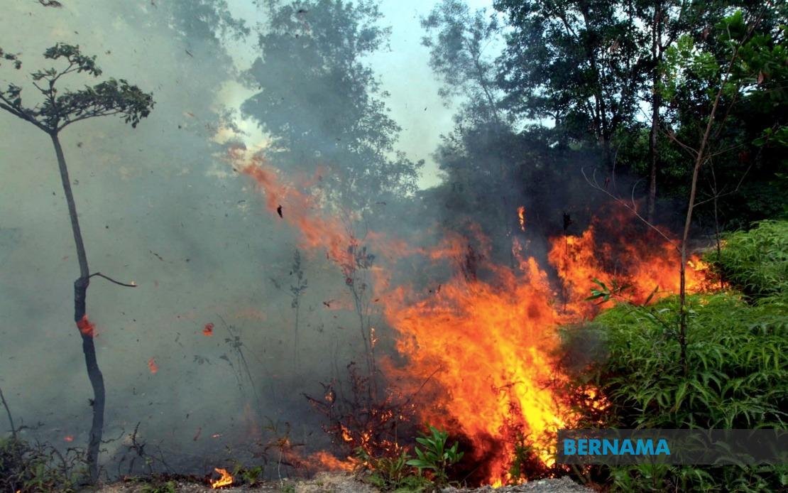 Open Burning Cases Surge to 18,432 As Fire Department Warns of Large-Scale Fire Risk Across Malaysia