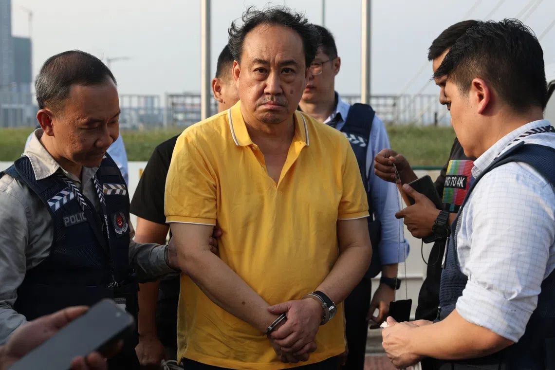 Opposition lawyer Lim Tean deported to Singapore after Johor arrest for evading jail sentence
