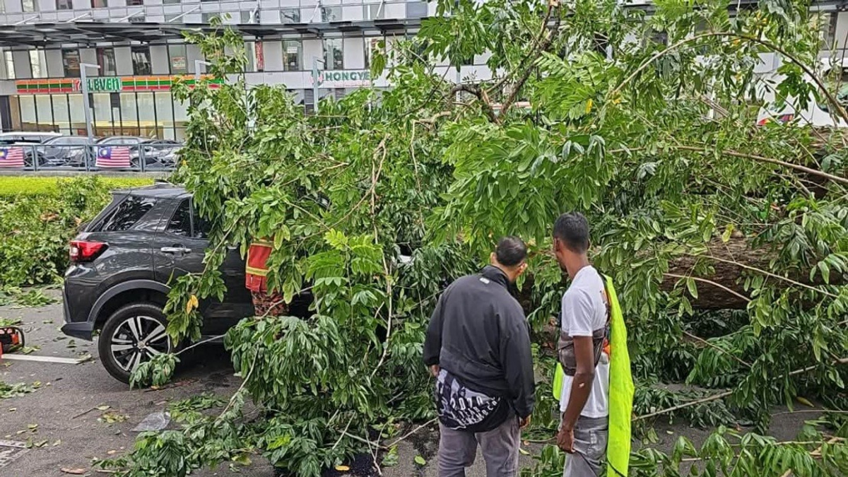 Three Family Members Injured After Tree Falls on Car in Penang