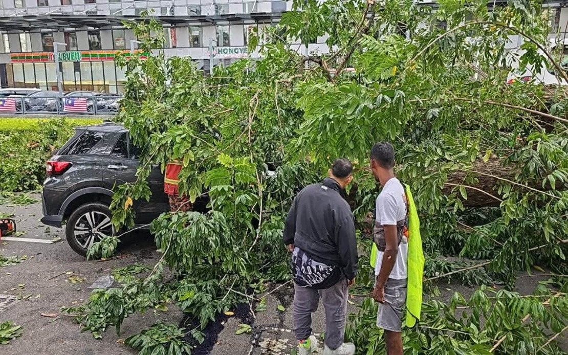 Three Family Members Injured After Tree Falls on Car in Penang