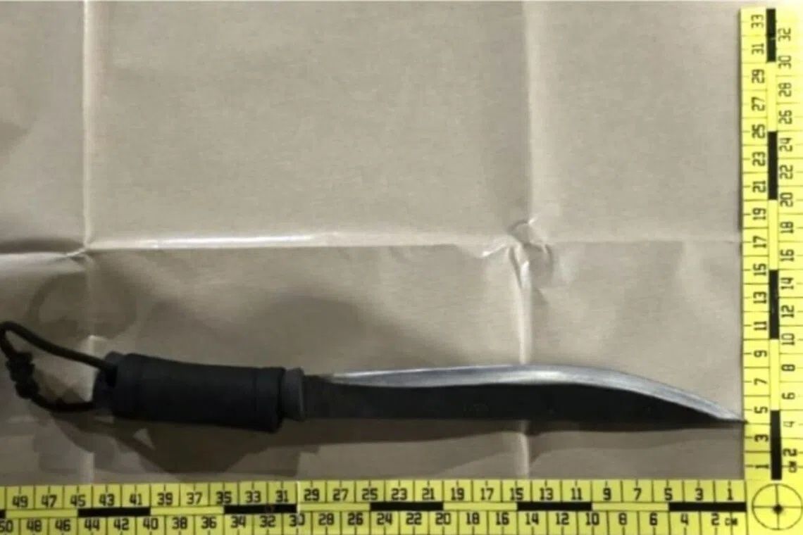 Four arrested in Singapore over abduction and illegal weapon possession following carpark confrontation