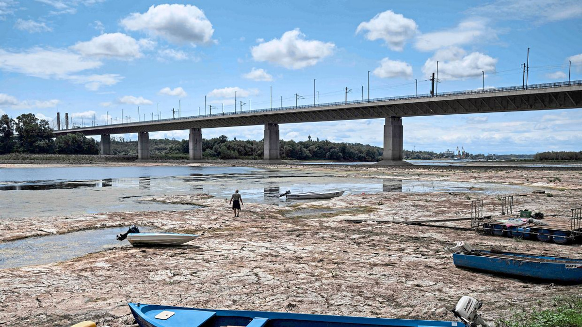 Danube drought reaches crisis point as Europe grapples with record low water levels