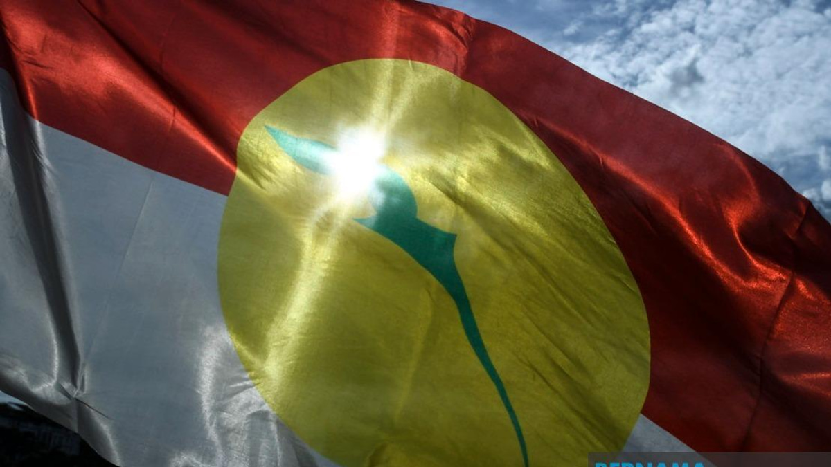 UMNO Members Must Unite Behind Party Interests, Says Azalina