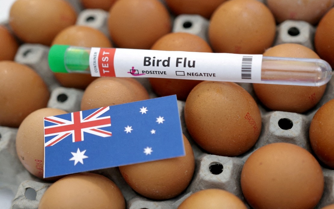 Australia Confirms First H5N1 Bird Flu Case in Local Wildlife, Raising Regional Concerns