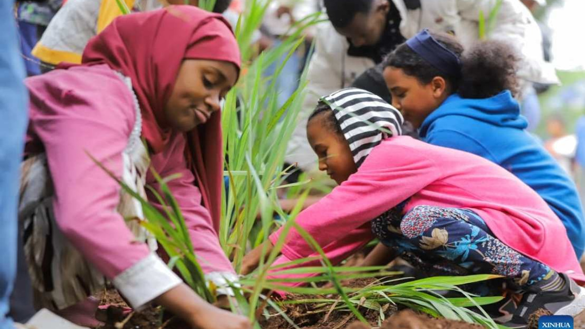 Ethiopia's Ambitious Green Legacy: 800 Million Trees Planted in Record Single-Day Drive
