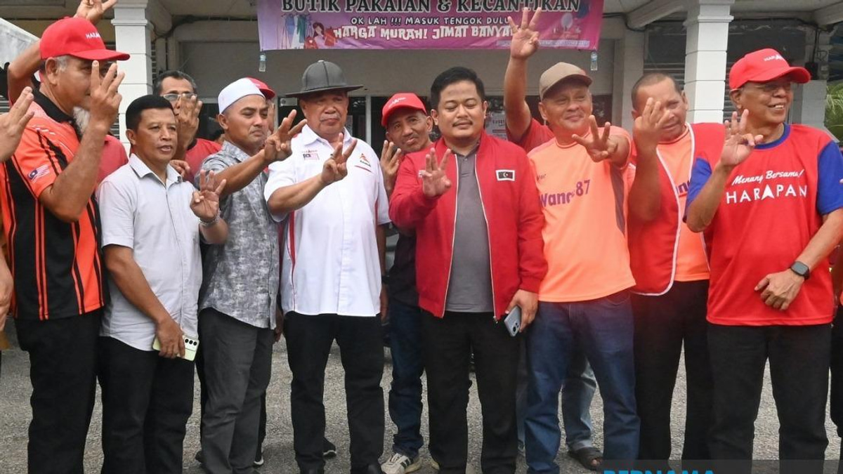 Johor Voters Must Back PH to Realise Manifesto Promises, Says Mohamad Sabu