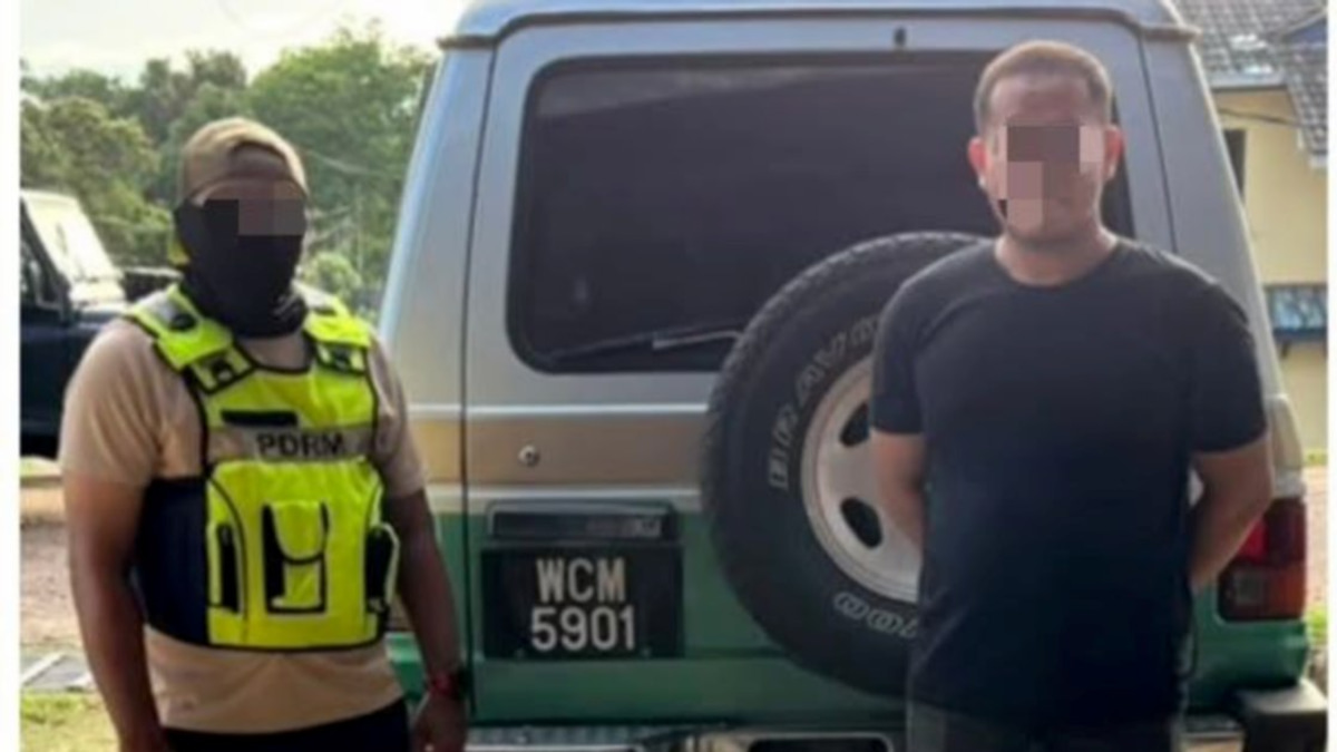 Bromeliad smuggling: Kelantan driver arrested with RM6,000 in plants seized