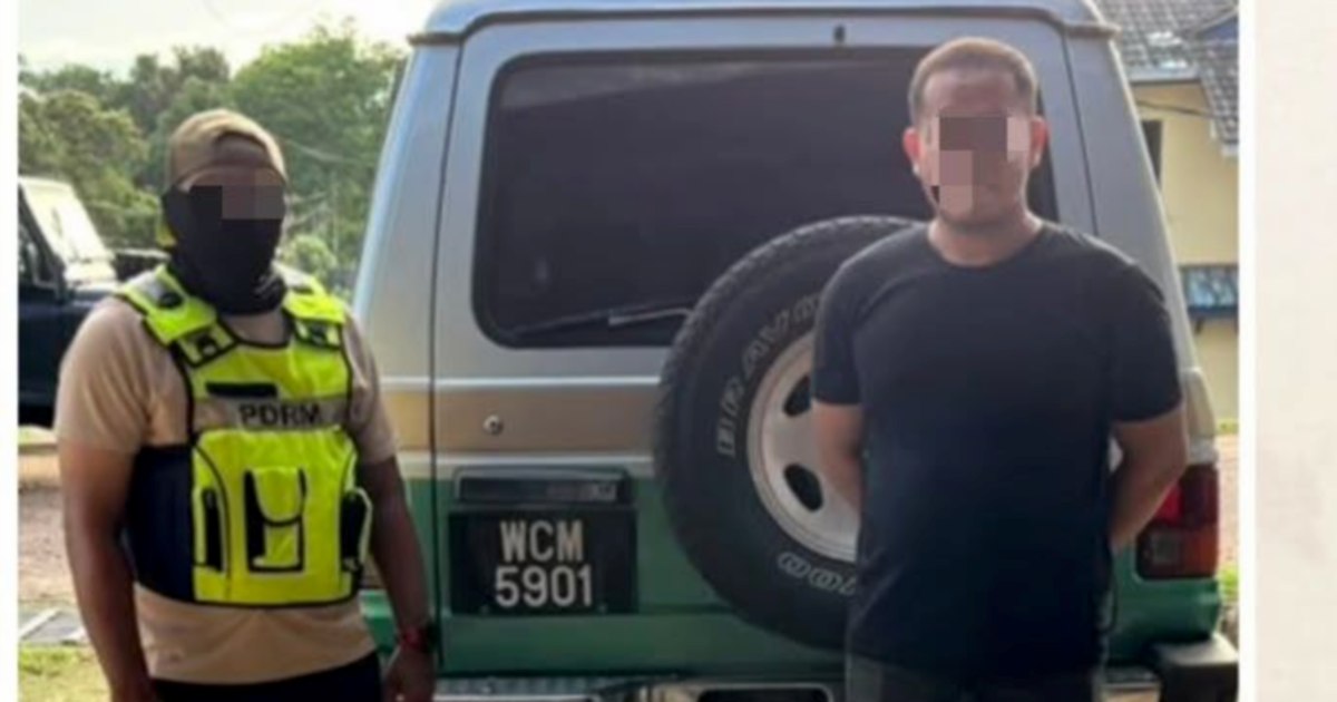 Bromeliad smuggling: Kelantan driver arrested with RM6,000 in plants seized