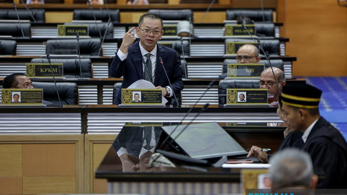 Rice Act enforcement will spare farmers, target supply chain players: Chan
