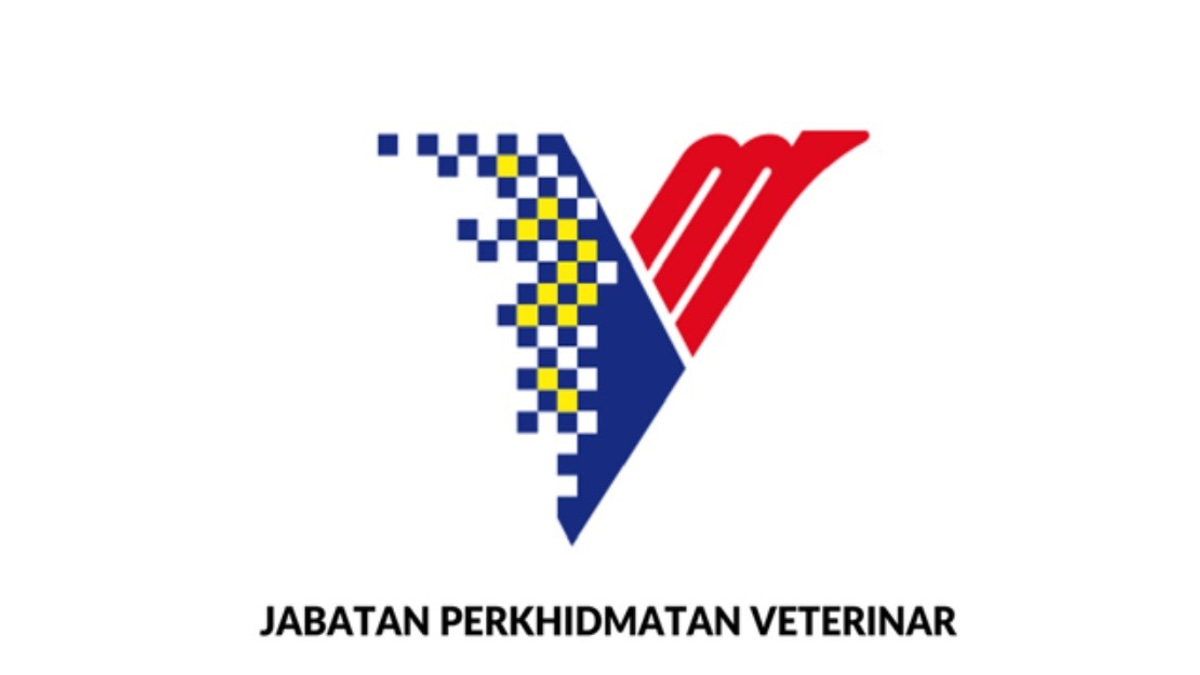 DVS Denies Role in Fraudulent Government Orders and Fake Supply Documents