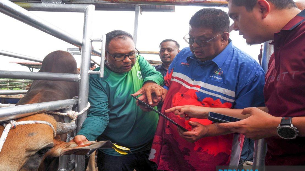 Melaka Launches QR Code Tagging System to Tighten Livestock Control