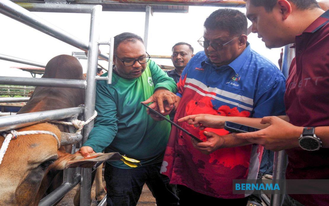 Melaka Launches QR Code Tagging System to Tighten Livestock Control